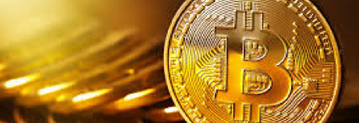 Investir ou não em Moedas Virtuais.
